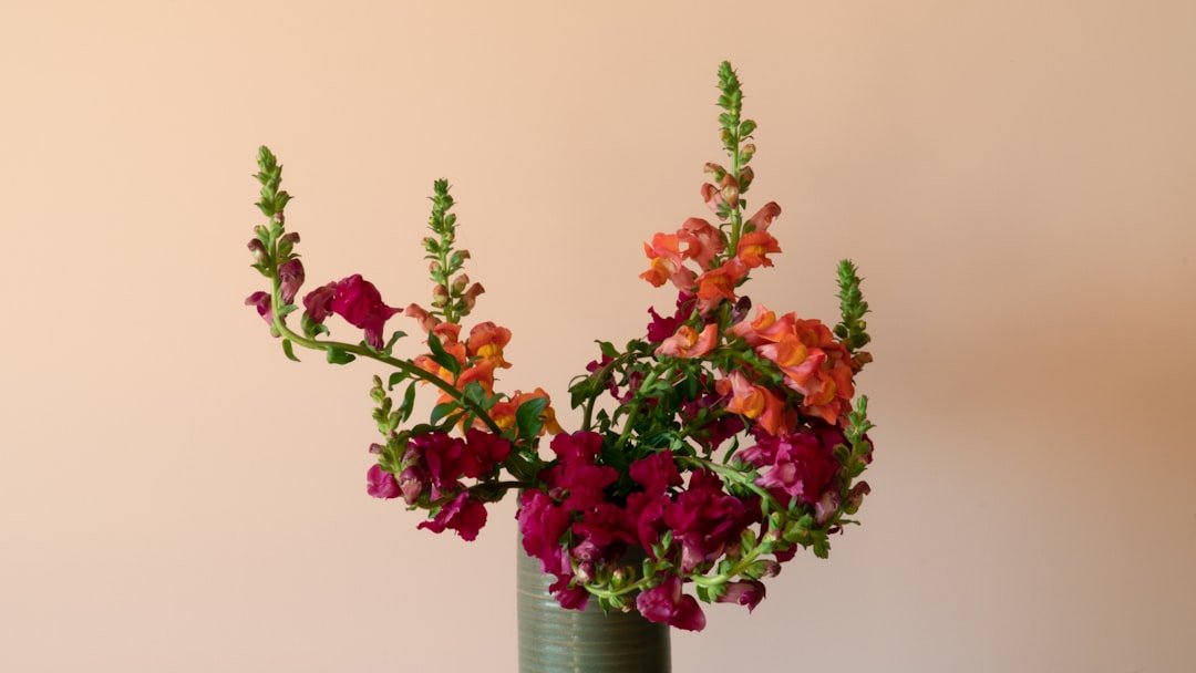 Photo Flowers, vase